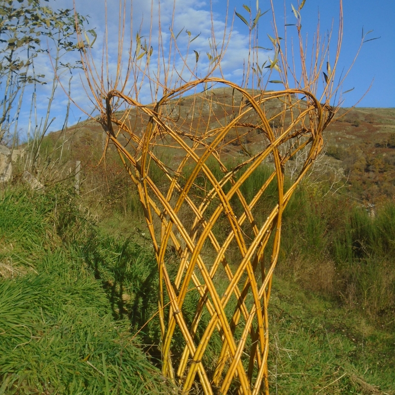 sculpture osier,lozere,aveyron,altier,millau,vannerie