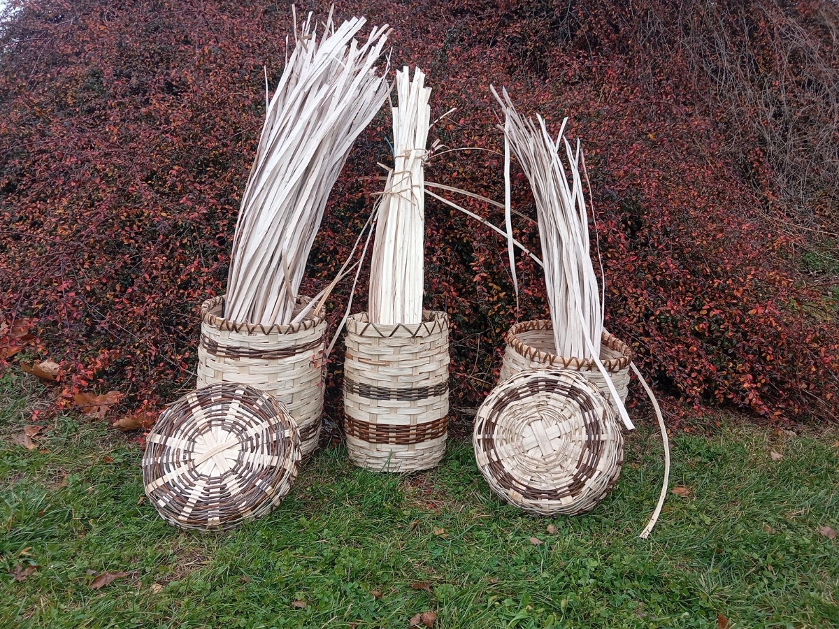 latte châtaignier  vannerie